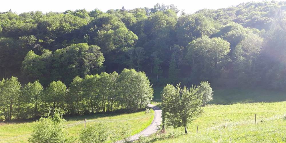 Route d'accès